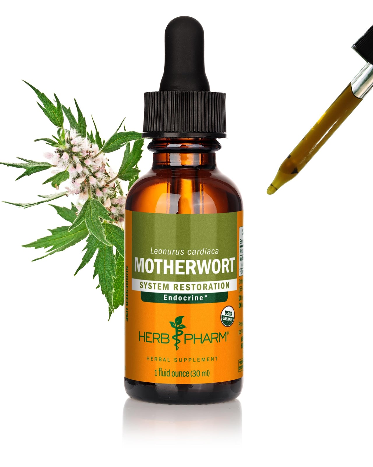 Herb Pharm Certified Organic Motherwort Liquid Extract for Endocrine System Support - 1 Ounce