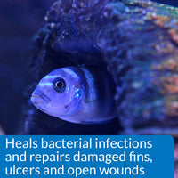 Thumbnail for API MELAFIX Freshwater Fish Bacterial Infection Remedy 8-Ounce Bottle