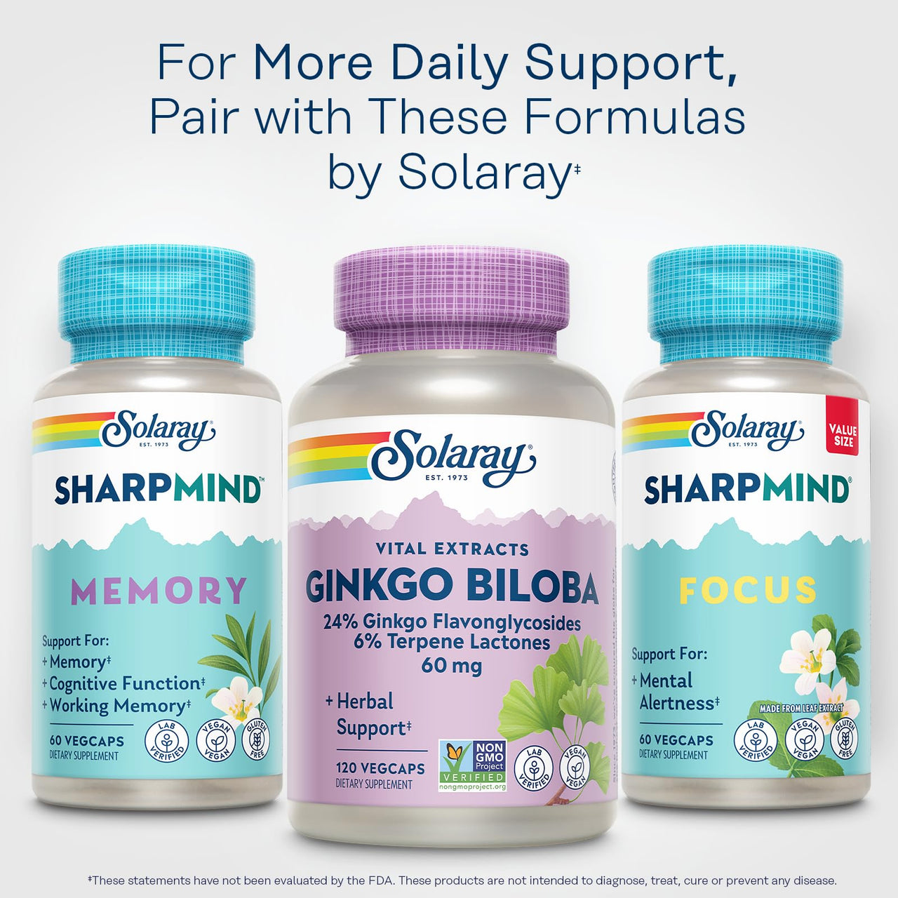 SOLARAY Ginkgo Biloba Extract, Vital Extracts - Brain Supplement - Ginkgo Biloba Capsules for Brain Health and Female Libido Support - Non GMO, Vegan, Gluten Free, 60-Day Guarantee - 120 Servings