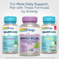 Thumbnail for SOLARAY Ginkgo Biloba Extract, Vital Extracts - Brain Supplement - Ginkgo Biloba Capsules for Brain Health and Female Libido Support - Non GMO, Vegan, Gluten Free, 60-Day Guarantee - 120 Servings