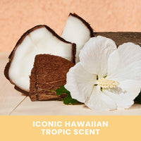 Thumbnail for Hawaiian Tropic Weightless Hydration Dry Oil Sunscreen Spray SPF 15, 5oz | Sunscreen Oil Mist, SPF 15 Sunblock Spray, Oxybenzone-Free, 5oz