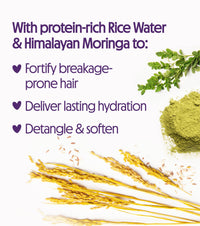 Thumbnail for Not Your Mother's Naturals Superior Strength Shampoo & Conditioner Set - 15.2 fl oz - Sulfate-Free Hair Products - Rice Water & Himalayan Moringa
