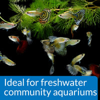 Thumbnail for API PROPER pH 7.0 Freshwater Aquarium Water pH Stabilizer 8.8-Ounce Container
