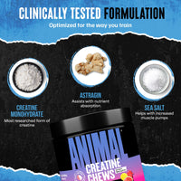 Thumbnail for Animal Creatine Chews Tablets - Enhanced Creatine Monohydrate with AstraGin to Improve Absorption, Sea Salt for Added Pumps, Delicious and Convenient Chewable Tablets - Fruit Punch
