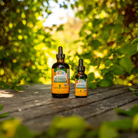 Thumbnail for Herb Pharm Kids Echinacea Extract Alcohol-Free Certified Organic Liquid Herbal Supplement for Kids, Immune Support Drops for Toddlers & Children, Non-GMO, Vegan, Echinacea Purpurea Root, 1 fl oz