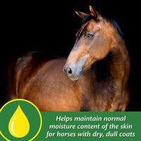 Thumbnail for Farnam Super 14 Healthy Skin & Coat Supplement for Horses, Keeps Coats Shiny & Gleaming Year-Round 2.75 Pound, 44 Day Supply