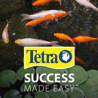 Thumbnail for TetraPond Pond Flakes, Complete Nutrition for Smaller Pond Fish, Fish Food for Goldfish and Koi Fish, 6.35 Ounces