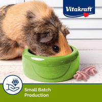 Thumbnail for Vitakraft Drops Rabbit Guinea Pig Hamster Treats Watermelon Flavor 4.4 Ounce Bag Delicious Yogurt Enriched Drops with Fruity Flavor Nutritious Small Animal Snacks for Rabbits Guinea Pigs and Hamsters