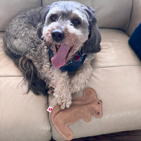 Thumbnail for SPOT Dura-Fused Leather Squirrel Dog Toy – Real Leather & Jute Fabric, Double-Stitched & Durable, Soft Stuffed Squeaky Interactive Chew Toy for Moderate Chewers, Small & Medium Dogs, 8in