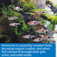 Thumbnail for API AMMONIA 130-Test Freshwater and Saltwater Aquarium Water Test Kit