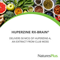 Thumbnail for NaturesPlus Huperzine Rx-Brain - 30 Tablets - Brain Support Supplement - Promotes Memory, Learning & Optimal Cognitive Function - Gluten Free - 30 Servings
