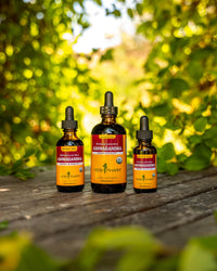 Thumbnail for Herb Pharm Ashwagandha, Alcohol Free: Liquid Extract, USDA Organic | Traditional Stress Support Supplement, Ashwagandha Root Glycerite, Tasty Adaptogen Extract for Adults | Up to 6 Week Supply, 2 oz*