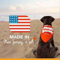 Thumbnail for Nylabone Healthy Edibles Natural Dog Chews, Long Lasting Bones for Dogs, Bacon Flavor Dog Treats, Medium (2 Count)