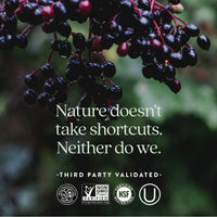 Thumbnail for New Chapter Women’s Multivitamin, Iron, B6, B12, Biotin for Hair Growth, D3, Vit C, Zinc for Immune & Stress Support, Gentle on an Empty Stomach, One Daily, Non-GMO, Gluten-Free, 18+, 96 Tablets