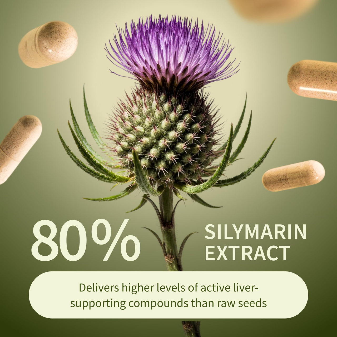 Snap Supplements Liver Health & Detox - Milk Thistle Supplement Supports Healthy Liver and Digestive Health, 60 Vegetarian Capsules (1 Month Supply)