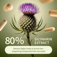Thumbnail for Snap Supplements Liver Health & Detox - Milk Thistle Supplement Supports Healthy Liver and Digestive Health, 60 Vegetarian Capsules (1 Month Supply)
