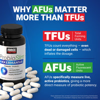 Thumbnail for Force Factor ProbioSlim Akkermansia Prebiotics & Probiotics, with 1B AFUs Akkermansia Muciniphila, Prebiotics & Chromax Chromium, Support Lean Body Mass, Digestion & Gut Health, 60 Vegetable Capsules