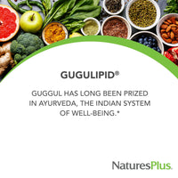 Thumbnail for NaturesPlus Herbal Actives Gugulipid - 30 Extended-Release Tablets - Ayurvedic Botanical Supplement - Vegetarian, Gluten Free - 30 Servings