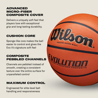Thumbnail for Wilson Evolution Game Basketball, Black, Official Size - 29.5