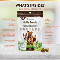 Thumbnail for NaturVet Bulldog Breed Supplement- for Joint Support, Digestion, Skin, Coat Care- Dog Multivitamins with Minerals, Omega-3, PlaqueOff- Wheat-Free Vitamins for Dogs- Bully Breeds- 50 Soft Chews