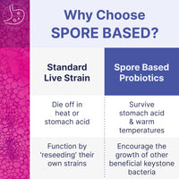 Thumbnail for Microbiome Labs MegaSporeBiotic Probiotics for Women & Men - Spore-Based Probiotic for Gut Health & Digestive Support - Shelf-Stable, Travel-Friendly, Mens & Womens Probiotics (60 Capsules)