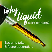 Thumbnail for Herb Pharm Certified Organic Motherwort Liquid Extract for Endocrine System Support - 4 Ounce
