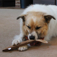 Thumbnail for SPOT Dura-Fused Leather Retriever Dog Toy – Real Leather & Jute Fabric, Double-Stitched & Durable, Squeaky Interactive Tug Toy with Rope Handle for Moderate Chewers, Soft Stuffed Fetch Toy, 15in