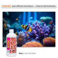 Thumbnail for Two Little Fishies ATLRC4 Revive Coral Cleaner, 16.8-Ounce