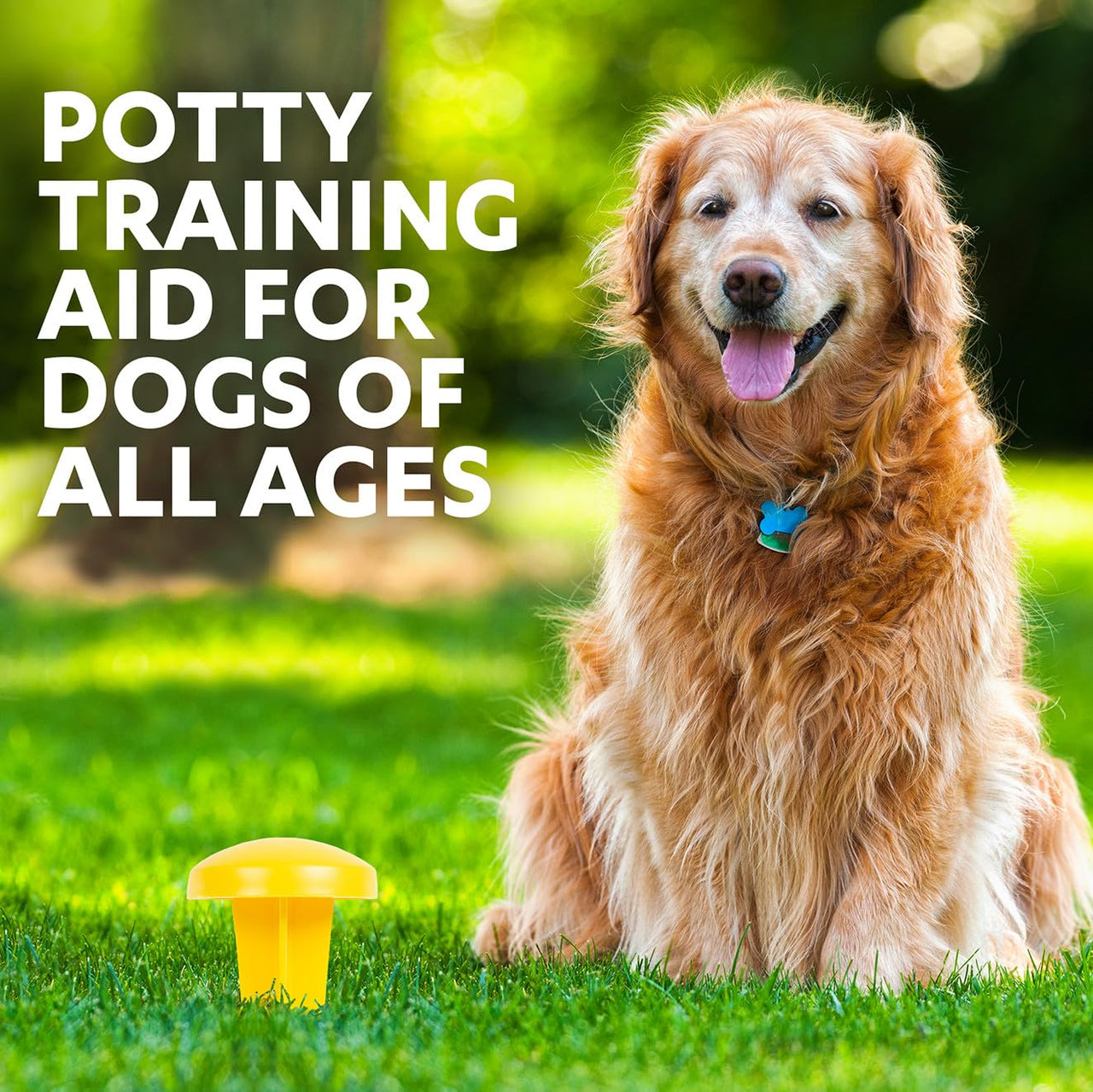 Simple Solution Pee Post Outdoor Dog Training Aid, 13-Inch Pheromone Infused Yard Marking Stake for Puppy Potty Training, Housebreaking, Lawn and Garden Dog Pee Attractant, Reusable Potty Helper