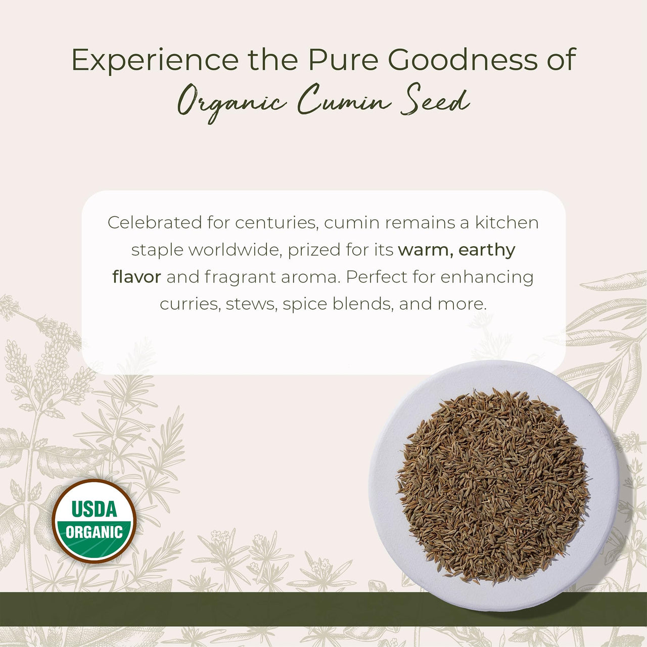 Starwest Botanicals Organic Cumin Seed, 1-pound Bag