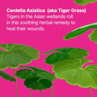 Thumbnail for Dr.Jart+ Cicapair Tiger Grass Camo Drops Tinted Serum SPF 35 with Centella Asiatica | Skin Tint | Korean Skin Care Makeup Hybrid, 1.01 Fl Oz