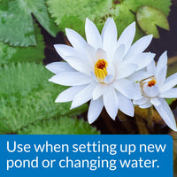Thumbnail for API POND CHLORINE & HEAVY METAL NEUTRALIZER Pond Water Neutralizer 16-Ounce Bottle