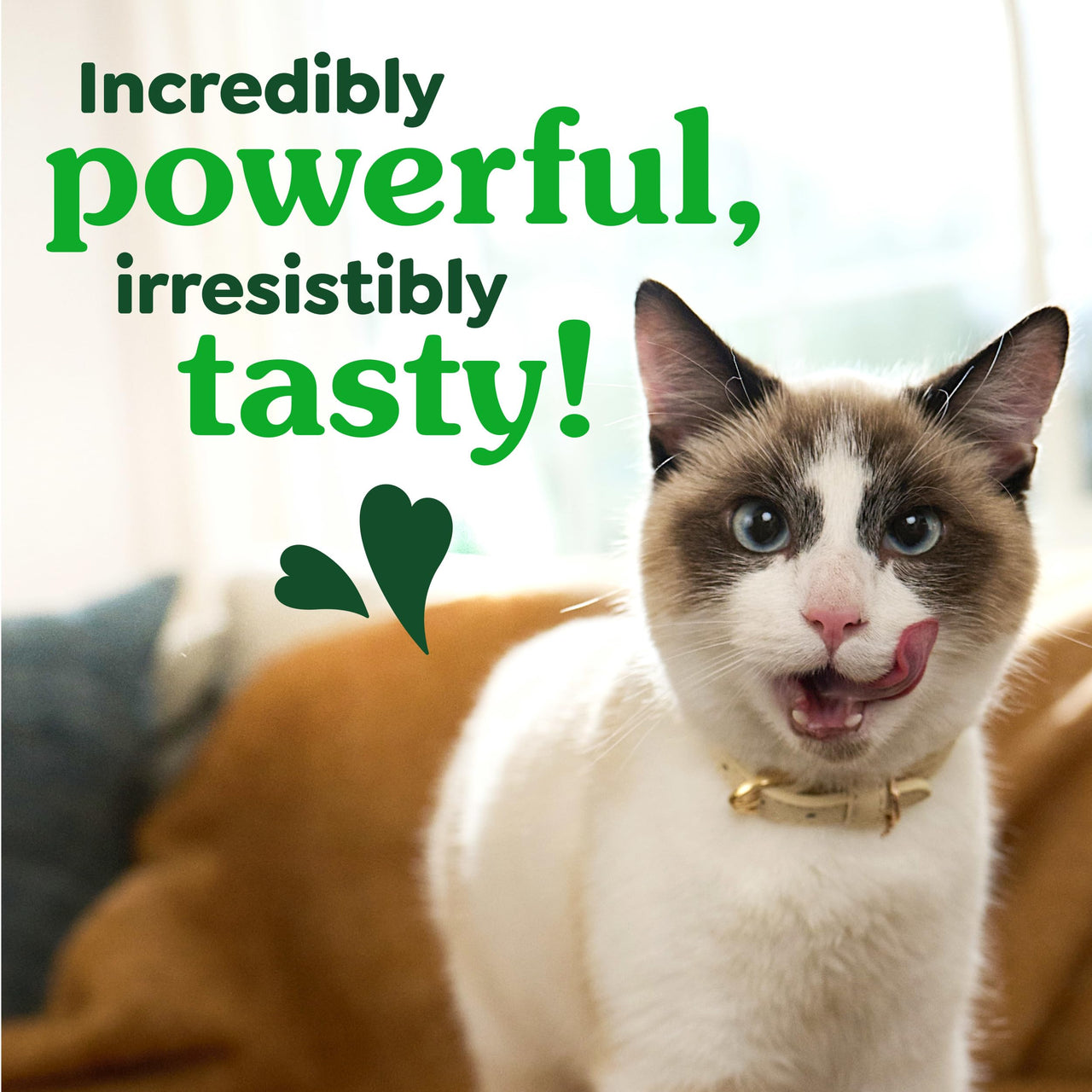 Greenies Cat Treats, Veterinarian-Recommended Adult Natural Dental Cat Treats, Tempting Tuna Flavor, 2.1 oz. Pack