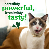 Thumbnail for Greenies Cat Treats, Veterinarian-Recommended Adult Natural Dental Cat Treats, Tempting Tuna Flavor, 2.1 oz. Pack