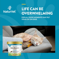 Thumbnail for NaturVet –Quiet Moments Calming Aid for Cats Plus Melatonin – 60 Soft Chews – Helps Reduce Stress & Promote Relaxation – Great for Storms, Fireworks, Travel & Grooming