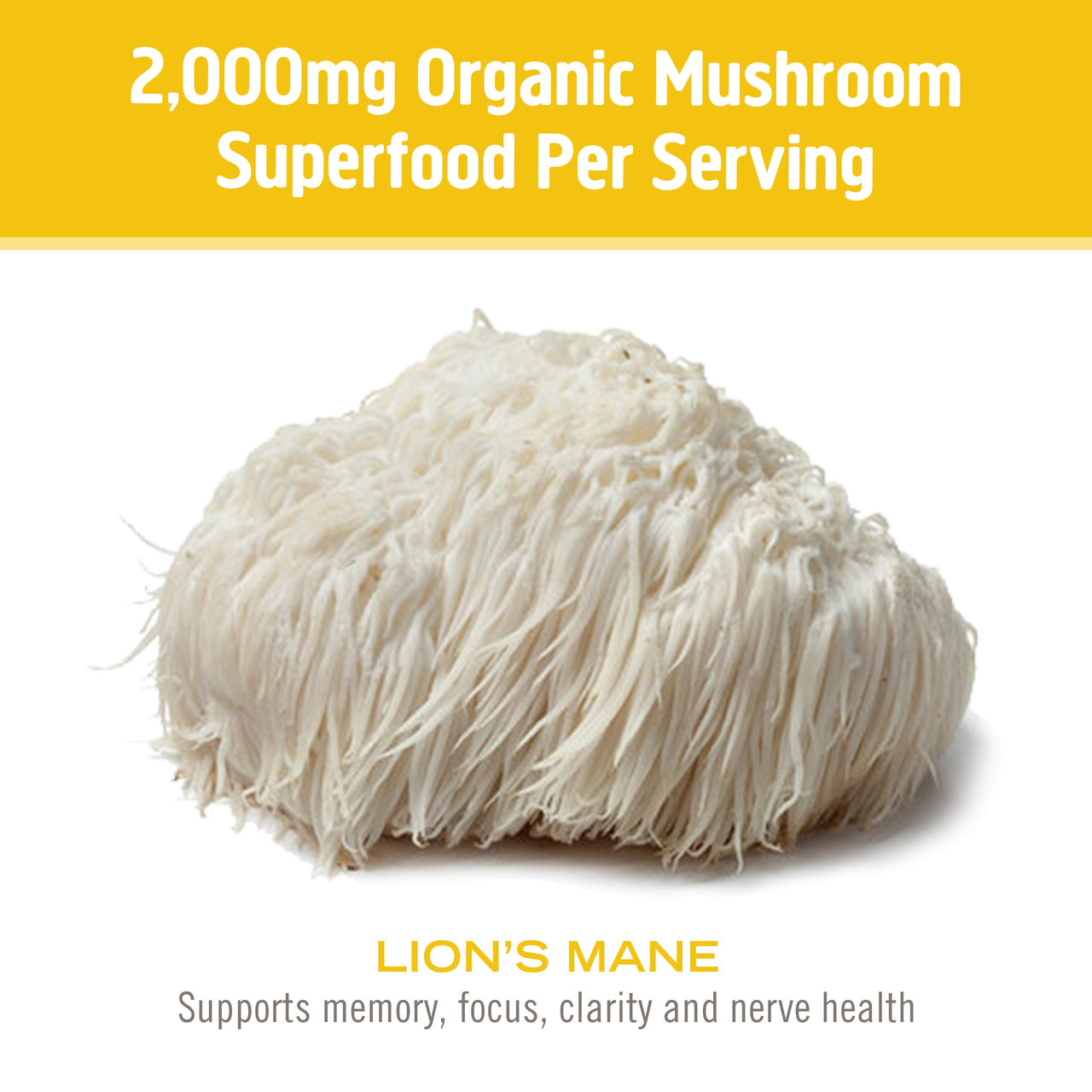 Mushroom Matrix Lion's Mane 3.57 Ounce (100 Grams) Pwdr