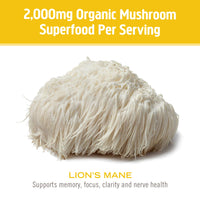 Thumbnail for Mushroom Matrix Lion's Mane 3.57 Ounce (100 Grams) Pwdr