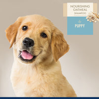 Thumbnail for Four Paws Magic Coat Professional Series Nourishing Oatmeal Puppy Shampoo, Paraben & Sulfate Free Dog Wash, Gentle Shampoo for Puppies, Baby Powder Scent, 16 Ounce