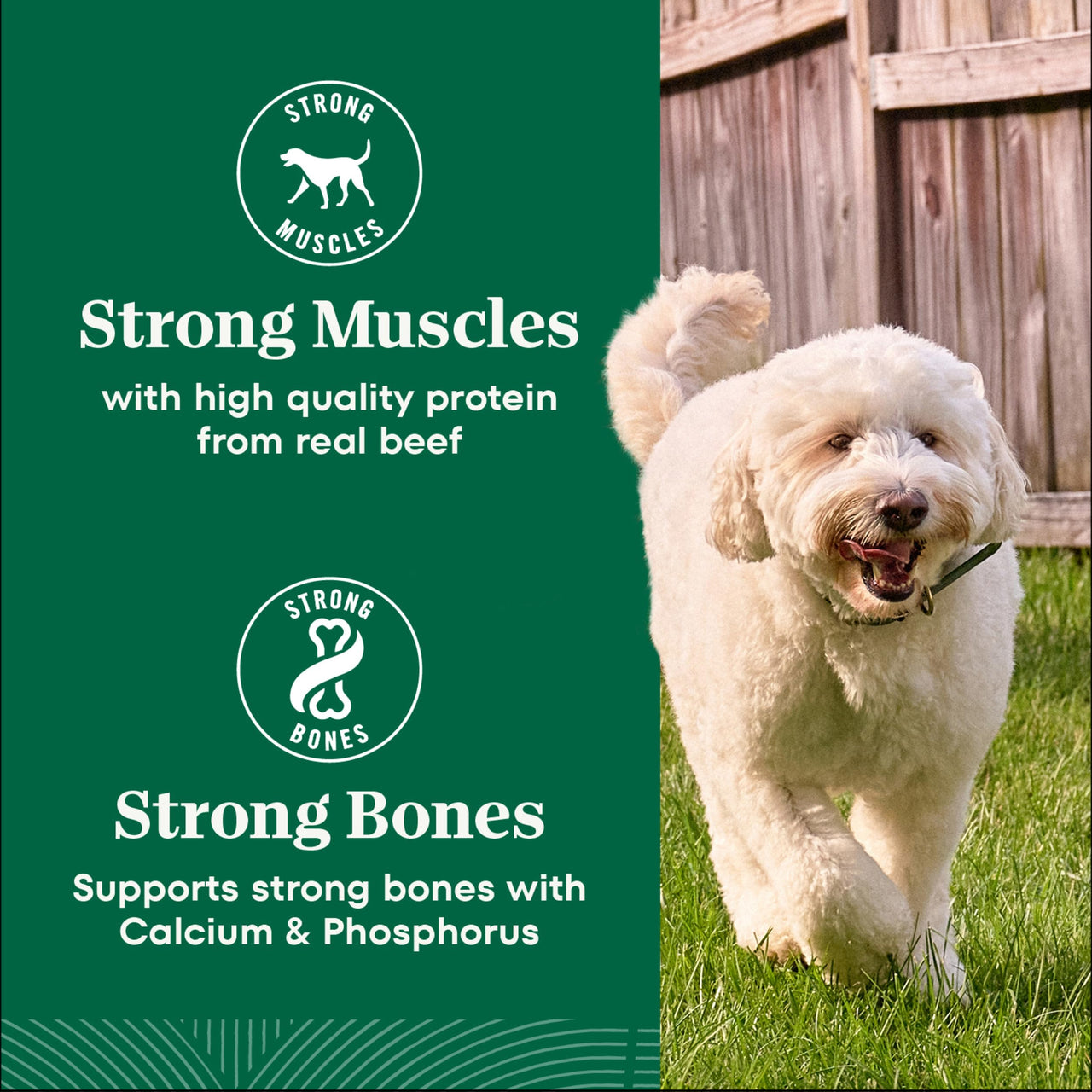Nutro Natural Choice Dry Dog Food, Adult Dog Food Dry Lamb and Brown Rice Recipe, 5 lbs.
