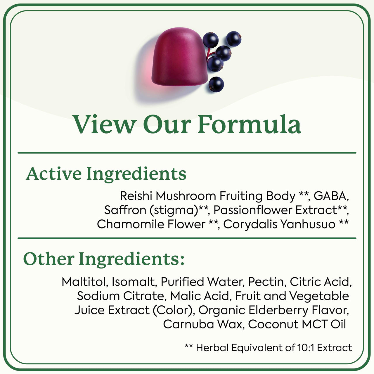 Plant People WonderSleep Mushroom Gummies Supplement for Sleep and Relaxation with Reishi Super Mushrooms, Wild Elderberry Flavor, No Sugar (60 Count)