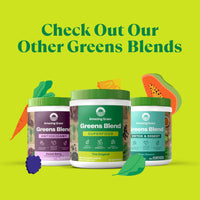 Thumbnail for Amazing Grass Greens Blend Superfood: Greens Powder Mix for Energy, with Organic Spirulina, Chlorella, Beet Root Powder, Digestive Enzymes & Probiotics, Original, 30 Servings (Packaging May Vary)
