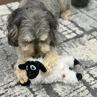 Thumbnail for SPOT Baa Baa Black Sheep Plush Dog Toy - Cute and Cuddly Fleece Toy with Squeaker for Small to Medium Dogs and Puppies, 11in Black and White Lamb
