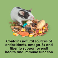 Thumbnail for Kaytee Fiesta Mouse & Rat Food, Nutritious and Fun Blend, Supports Dental Health and Digestion, 4.5 pounds