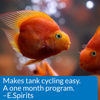 Thumbnail for API AQUARIUM START UP PACK Water Conditioner 1.25-Ounce Bottle 2-Pack
