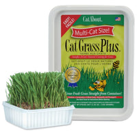 Thumbnail for Miracle Care Cat A'bout Cat Grass Kit for Indoor Cats, 5.25 Ounce, Hairball Control, Anti-Inflammatory, Improves Digestion and Metabolism