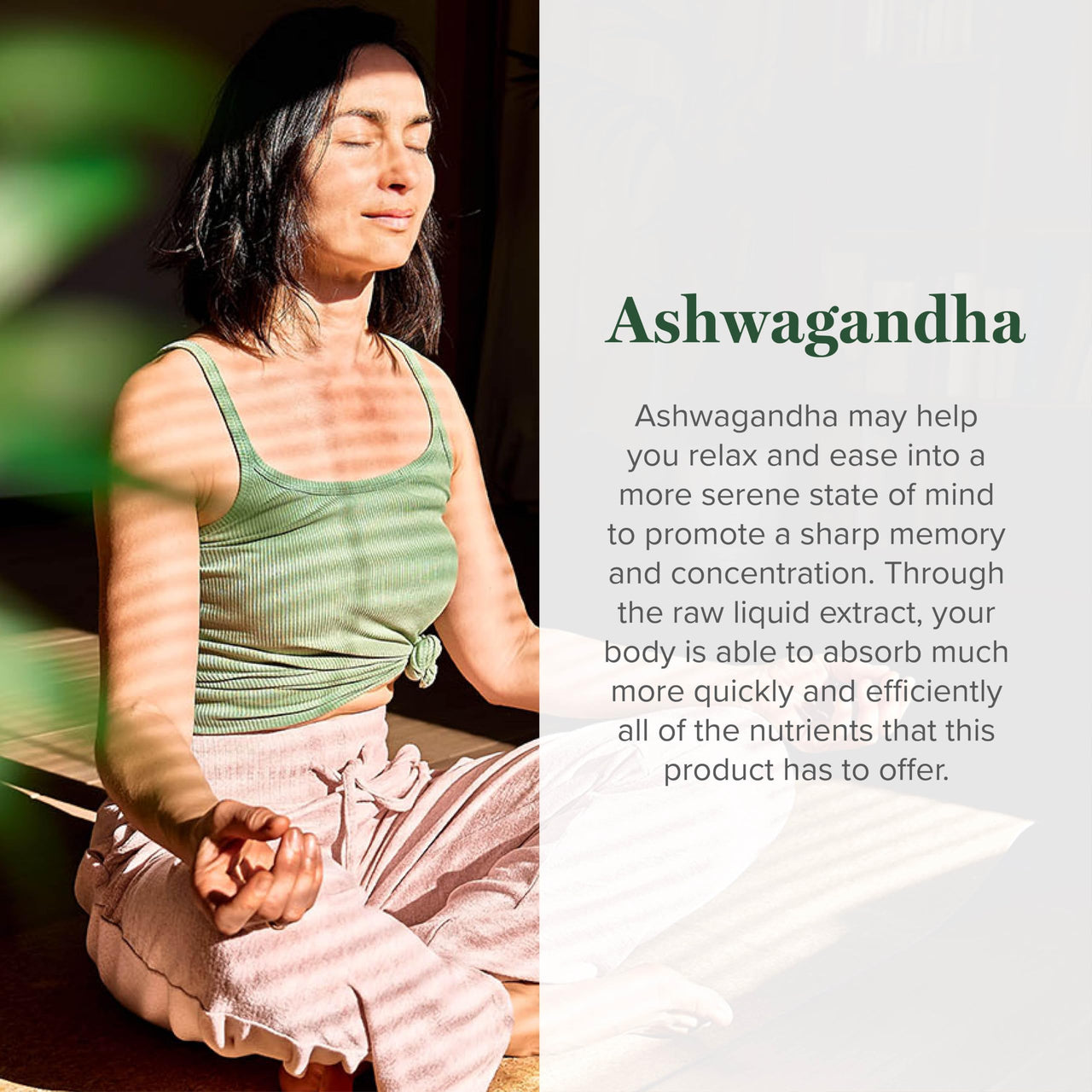 Global Healing Center - Organic Ashwagandha Supplements Drops - KSM-66 Ashwagandha Extra Strength for Men & Women, Helps Promote Relief from Stress, Mood Support, Organic (2 Fl Oz)