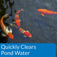Thumbnail for API POND ACCU-CLEAR Pond Water Clarifier 64-Ounce Bottle (142D)