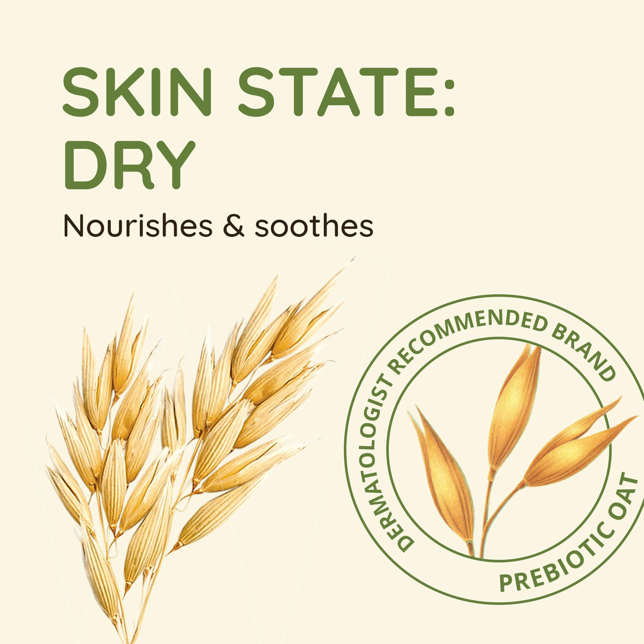 Aveeno Daily Moisturizing Body Wash for Sensitive Skin + Prebiotic Oat, Gently Cleanses, Nourishes & Feels Moisturizing Dry Skin, Light Fragrance, Refill Pouch, 36 fl. oz