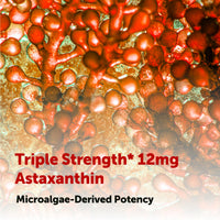 Thumbnail for Micro Ingredients Astaxanthin 12mg with MCT Oil, 120 Softgels, 4 Month Supply | Premium Astaxanthin Antioxidant Supplements* | Fresh Microalgae Source | Triple Strength, Non-GMO, Gluten Free, No Soy