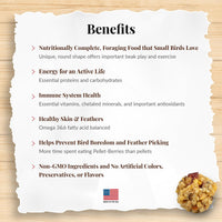 Thumbnail for LAFEBER'S Pellet-Berries Pet Bird Food, Made with Non-GMO and Human-Grade Ingredients, for Cockatiels, Conures, Parakeets (Budgies), Lovebirds (PelletBerries 10 oz)